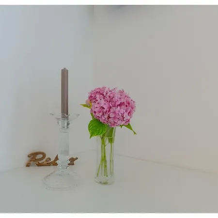 Aprtment Close To Center