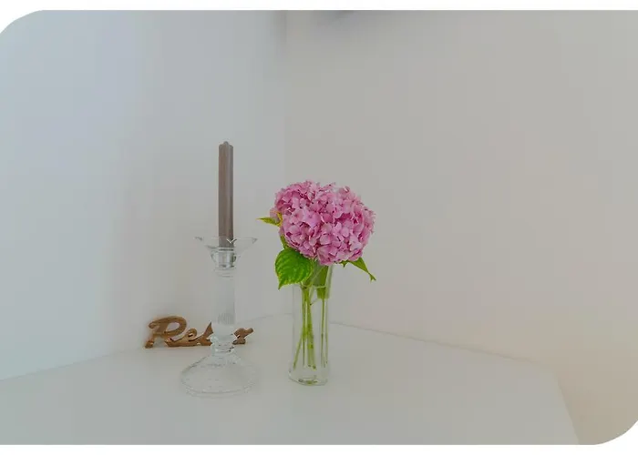 Aprtment Close To Center